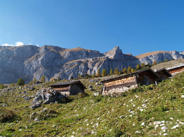 Zireiner Alm