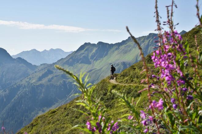 Panoramaweg Wiedersbergerhorn Alpbach