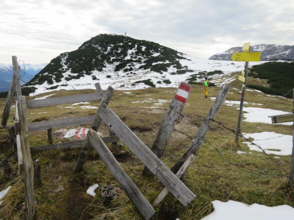 Auf der Roßwiese Richtung Zireiner See. Den Roßkogel nehmen wir am Rückweg mit.
