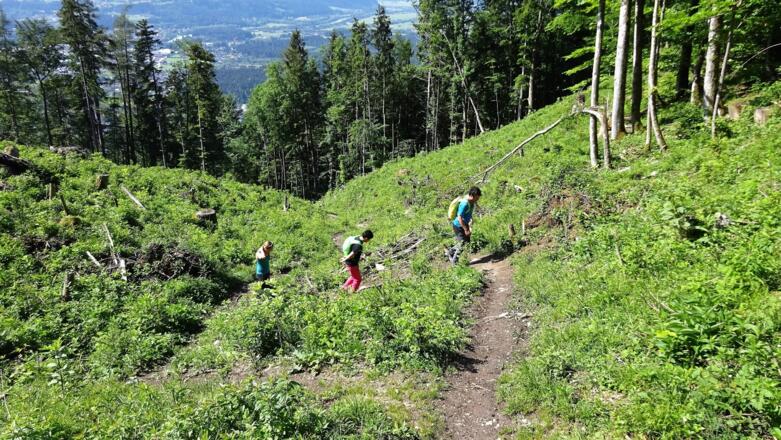 Aufstieg zum Voldöpperer Spitz ab Kramsach