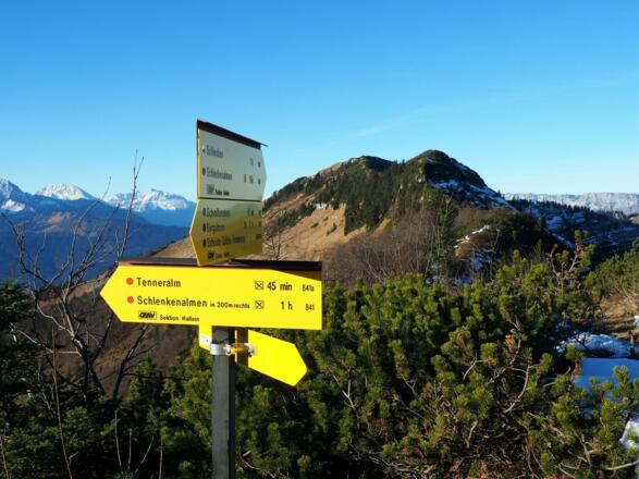 Gratsattel 1530m mit Schlenken