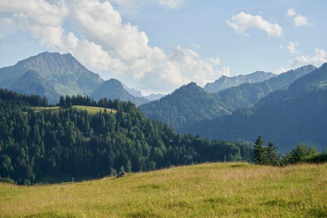 Wandern in Sibratsgfäll