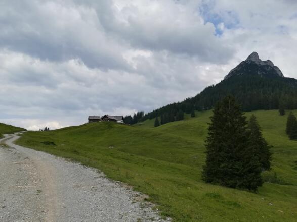 Ziel erreicht: Walderalm