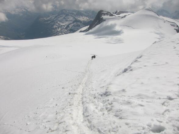 Der Blick vom Gipfelgrat zurück zu den noch aufsteigenden Seilschaften. Hinten das Schlatenkees mit Schwarzer Wand (links) und Rainerhorn (3560 m). 