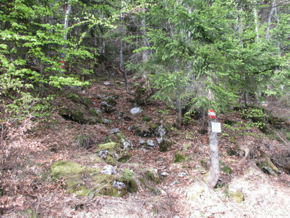 Ende Bikerstrecke, Beginn Wanderweg 1230m