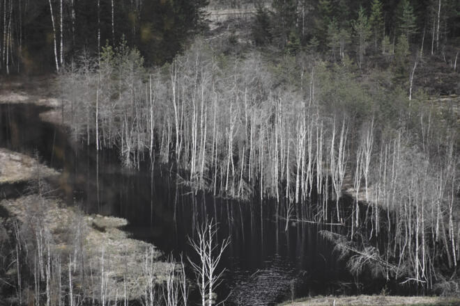 Blick  auf das Mandlinger Moor vom Weg Nr. 611 auf dem Mandlberg