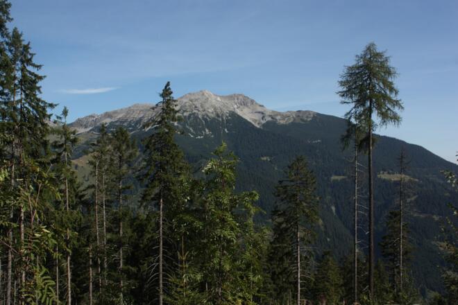 auf halbem Weg: Blick auf den Daniel