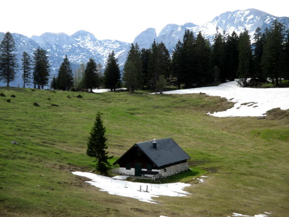 Brombergalm 1430m mit Totem Gebirge (Schönberg usw.)