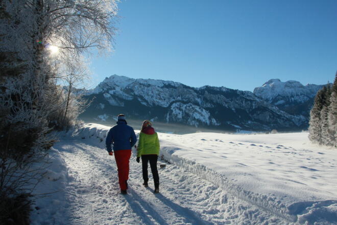 Wanderung Richtung Mühlberg