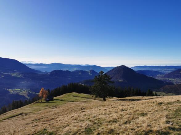 Auf dem Renkknie im Herbst