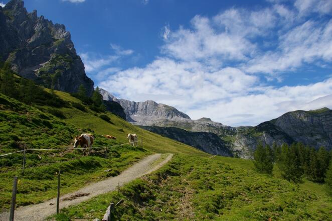 Weg zur Mitterfeldalm