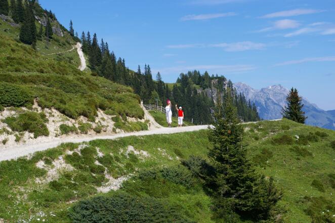 Weg zur Mitterfeldalm