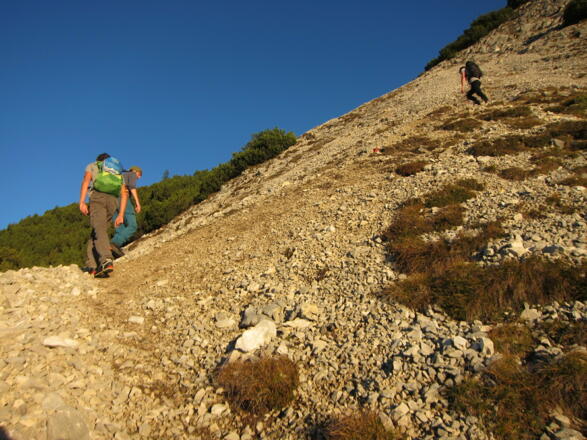 Ein kurzes Wegstück führt durch eine Schotterreiße.