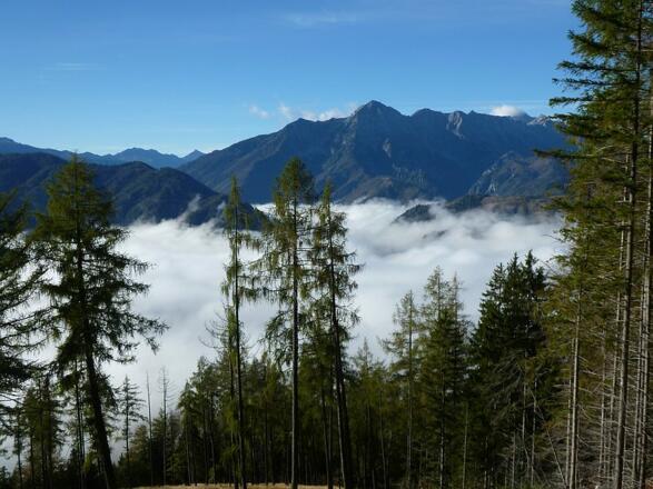 St. Pankraz im Herbstnebel, dahinter der Kleine Priel