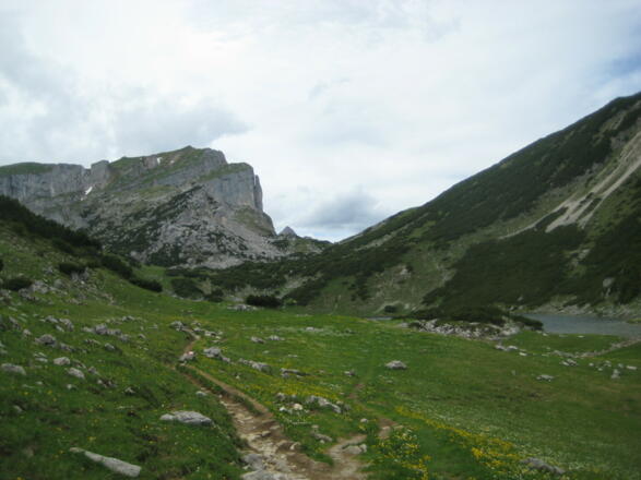 Beim Ziereiner See (06.06.2011)