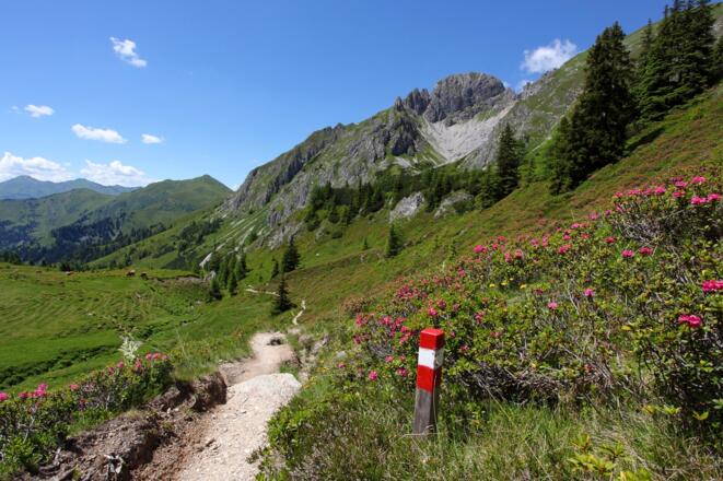 Abstieg zu den Draugsteinalmen