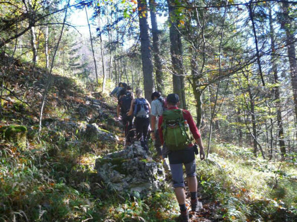 Am Weg zum Lackerboden