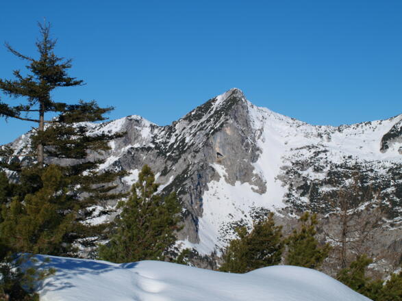 Segenbaumkogel 1779 m im Höllengebirge vom Buttergupf gesehen.