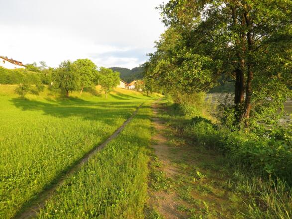 Donau bei Niederranna