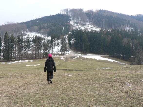 Wir gehen über die Hertlerwiese, vor uns bereits der Schwarzberg