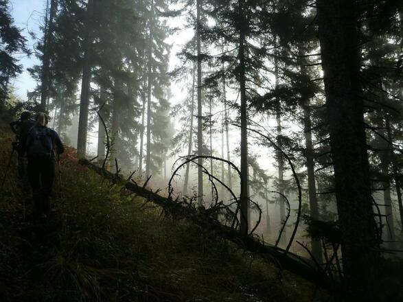 Aufstieg aus dem Nebel