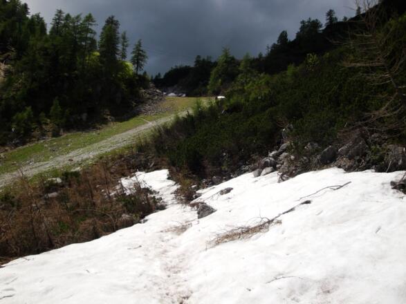 Am 8. Juni 2013 lag am Zustiegsweg noch etwas Schnee!