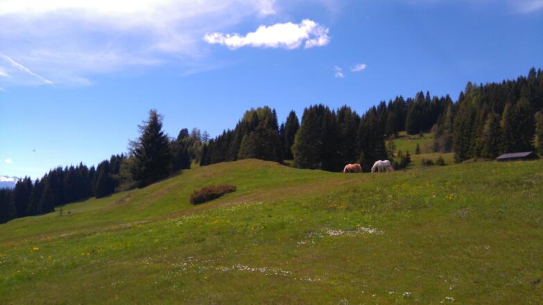 Landschaft um die Meislsteinalm
