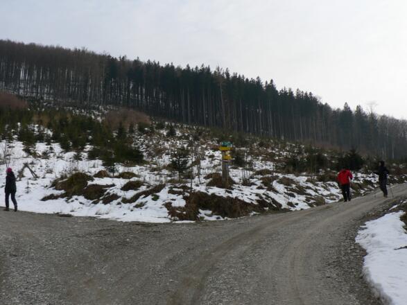 Nach ca. 100 Metern bleiben wir am linken Weg Nr. 467 (von rechts kommen wir später zurück)