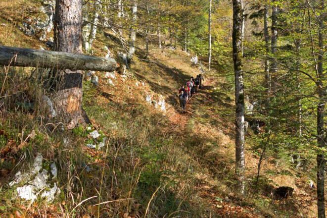 Am Verbindungsweg von Lackerboden zur Fotzenalm