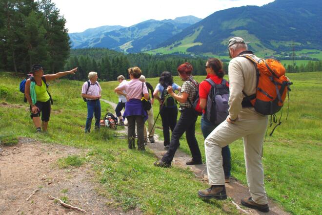 Pilgerführerin Gerlinde Eidenhammer