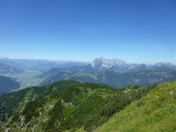 Blick zum Wilden Kaiser