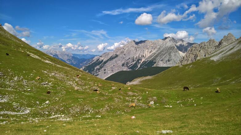 Kurz vor dem Etappenziel