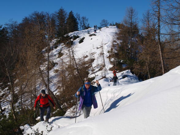 Buttergupf 1413 m vom Anstieg über den Westgrat. 