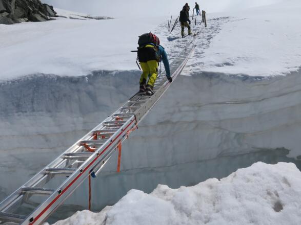 Auf allen Vieren, ohne Hektik ..