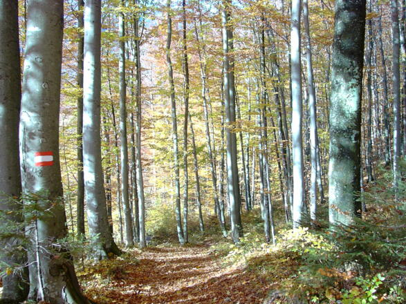 Beim Abstieg im unteren Teil