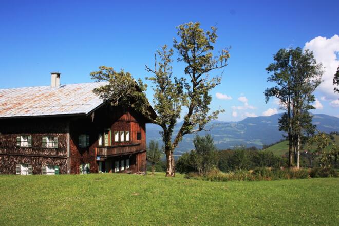 Ländliche Idylle am Dürrnberg
