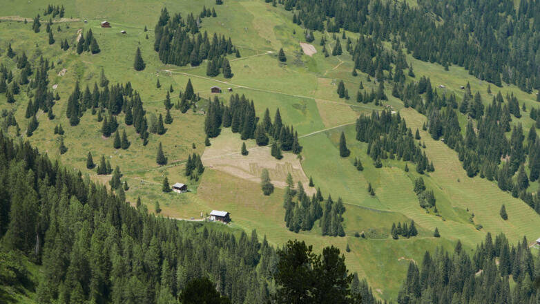 Die Bloshütte ist bald erreicht