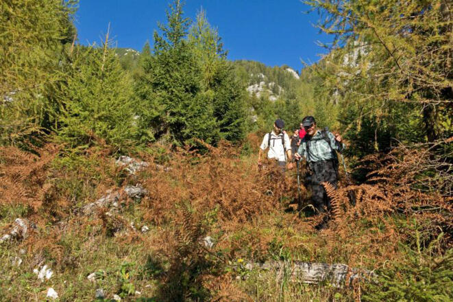 Wegloser Abstieg in den Langen Graben