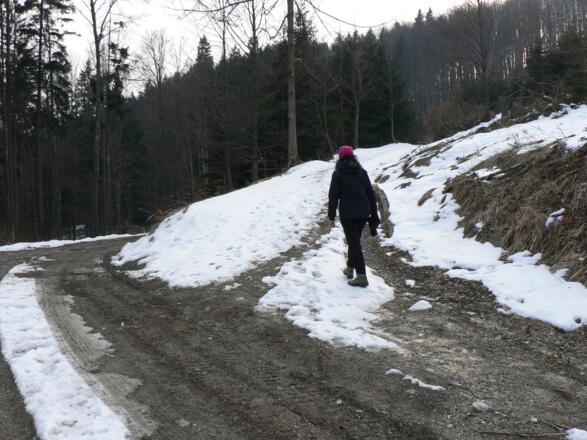 An der Rückseite des Schwarzbergs zweigt der Wanderweg nach rechts ab
