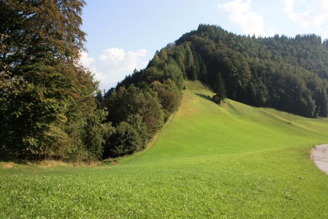 Wanderweg am Waldrand