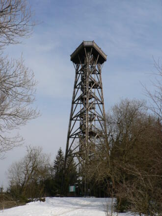 Mit mehr als 30 Metern überragt die Dambergwarte die umliegenden Baumwipfeln