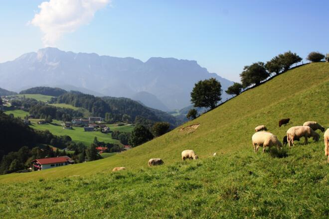 Ausblick auf das Untersbergmassiv