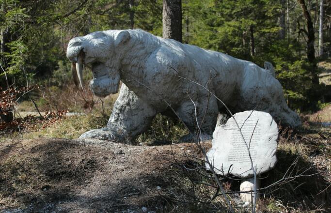 Säbelzahntiger am Erlebnisweg Steinzeit