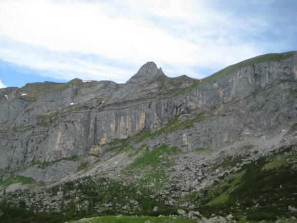 Rofanspitze (06.06.2011)