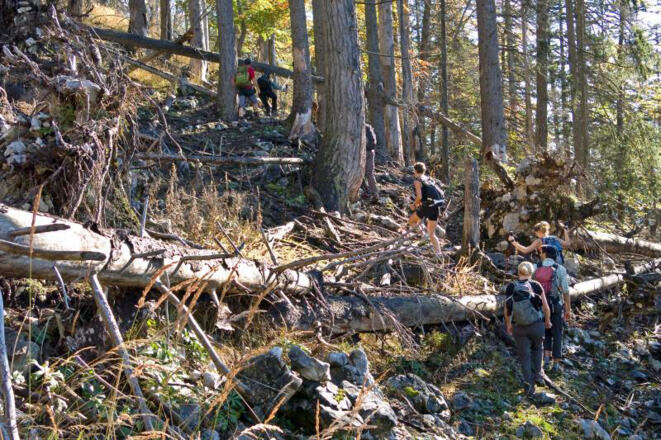 An zwei Stellen muss ein Windbruch umgangen werden