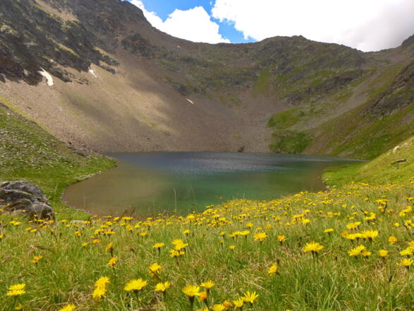 Der Pumpersee mit Blumen