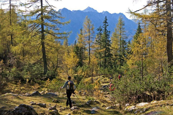 Abstieg zur Kogleralm