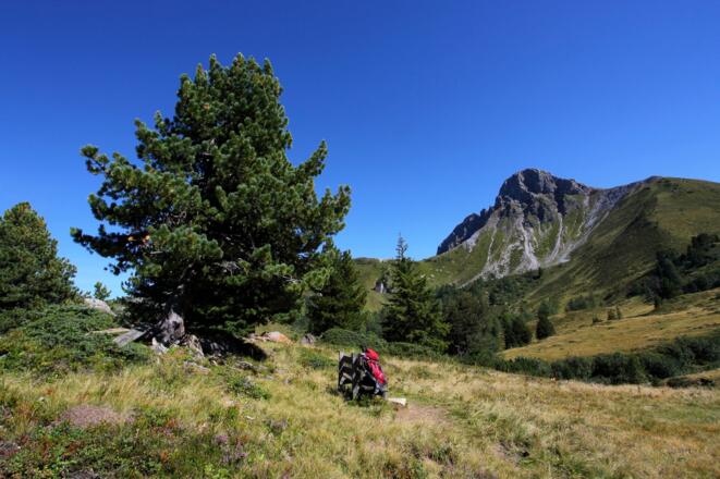 Blick auf den Draugstein