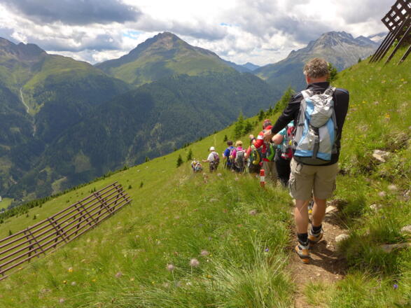 Abstieg durch den Lawinenverbau