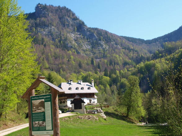Forsthaus 641 m
